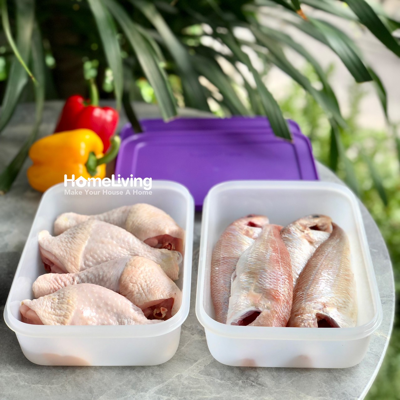 Bộ Trữ Đông Tupperware Freezermate Violet Set 6