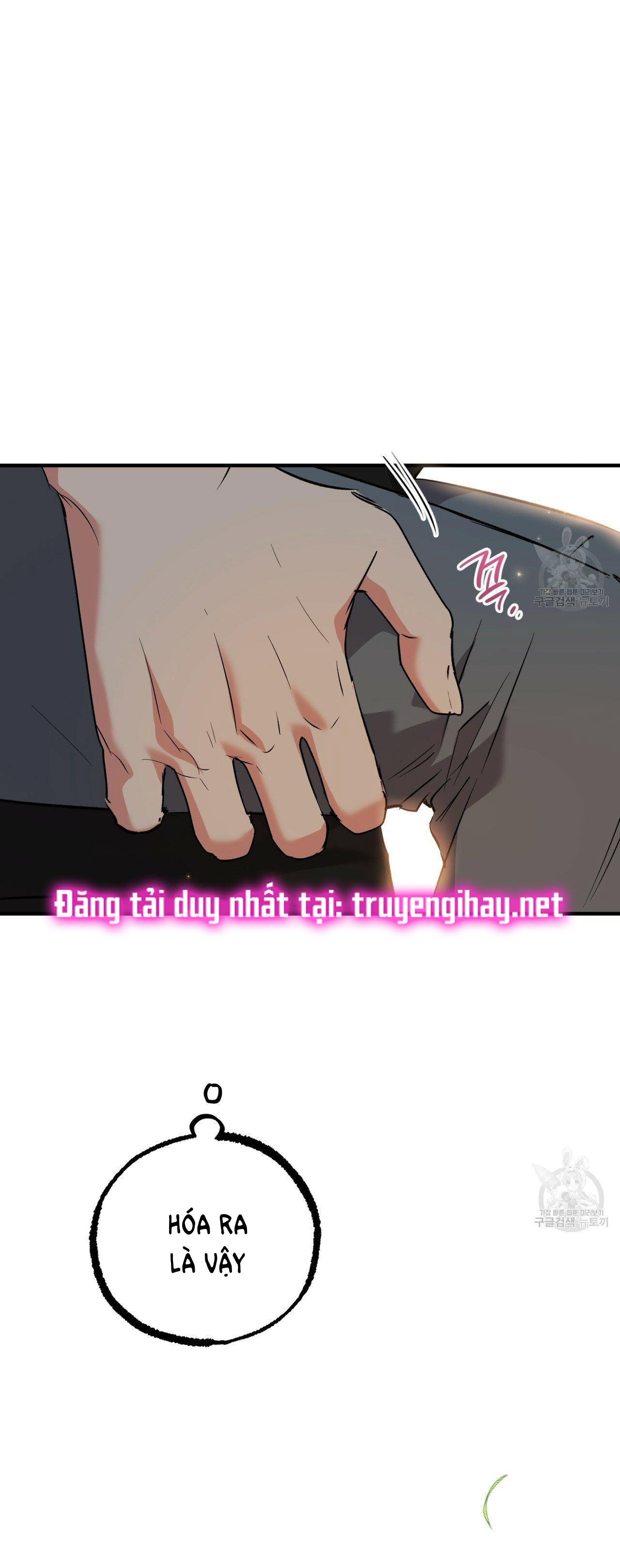 những chú thỏ của hapypy chapter 53.2 18