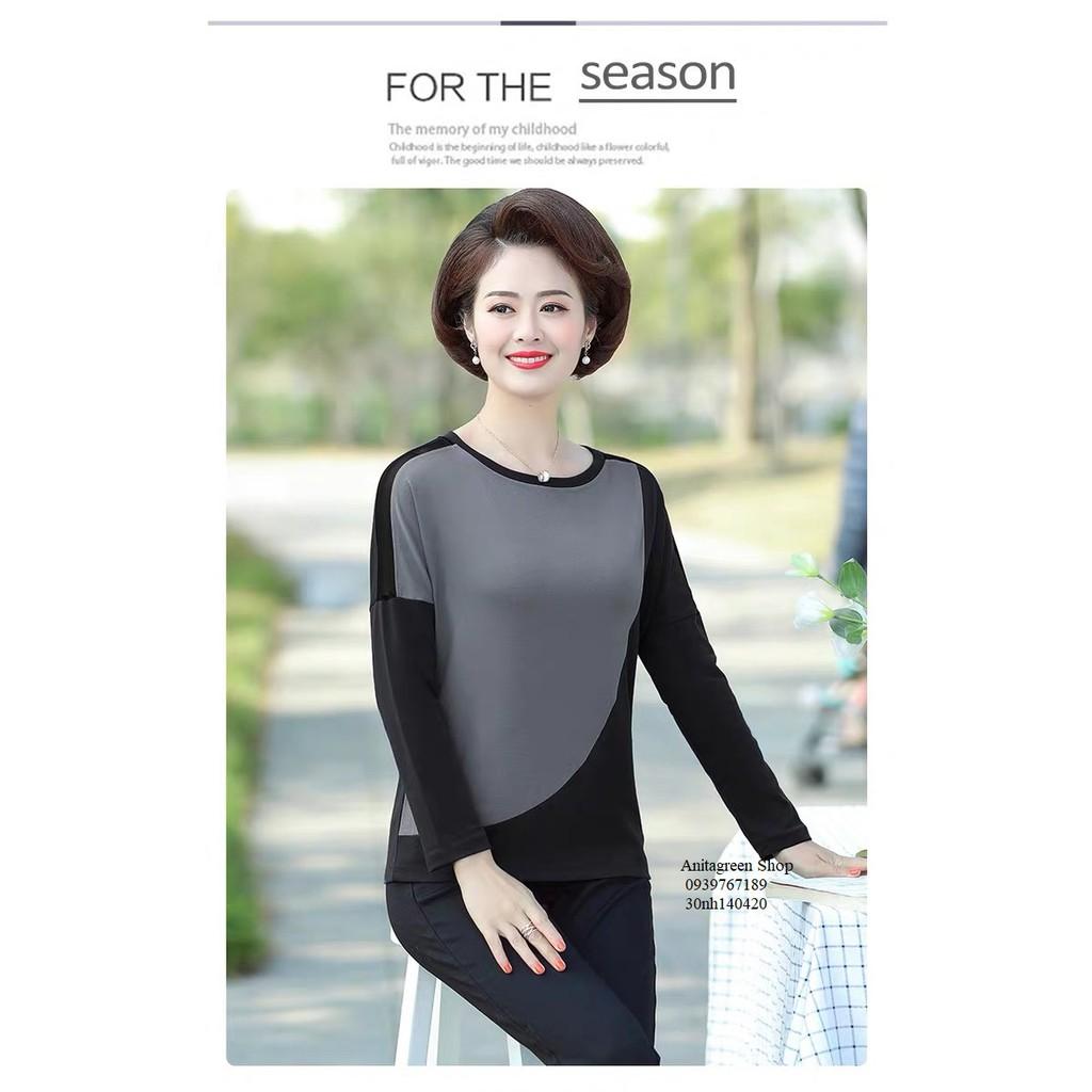 nh140420-ÁO THUN PHỐI MÀU TRUNG NIÊN s-6xl