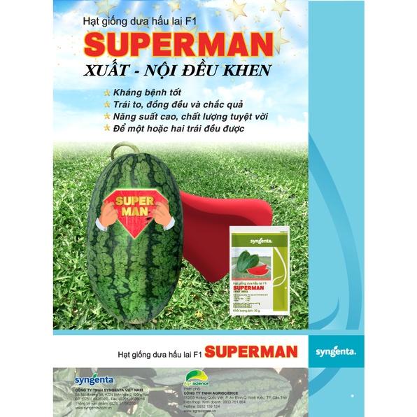 Hạt Giống Dưa hấu lai F1 - SUPERMAN
