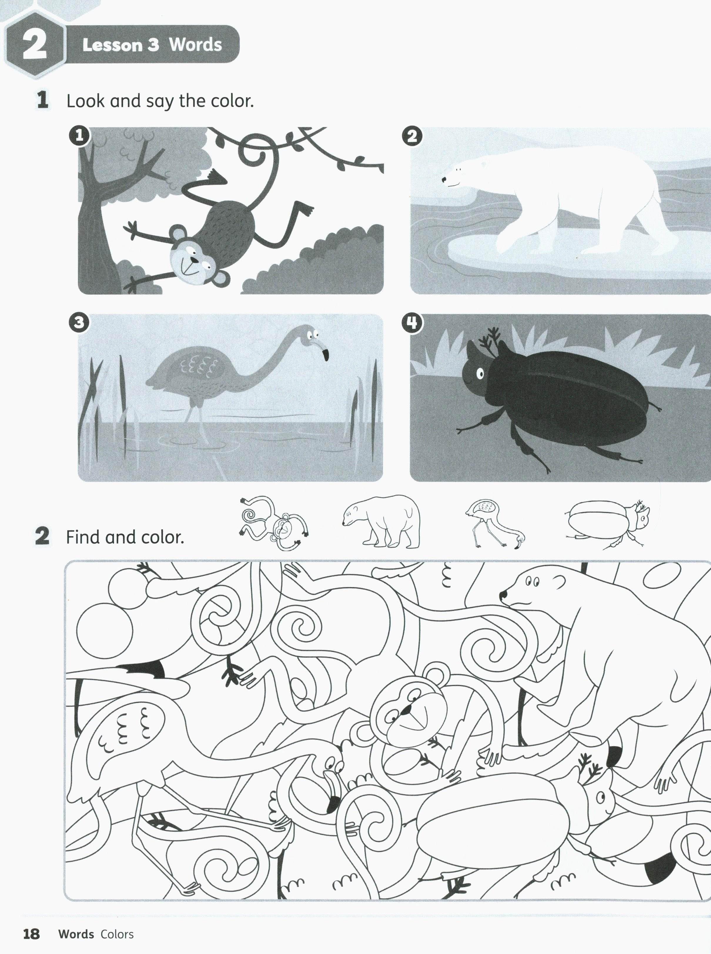 Buzz Starter Workbook