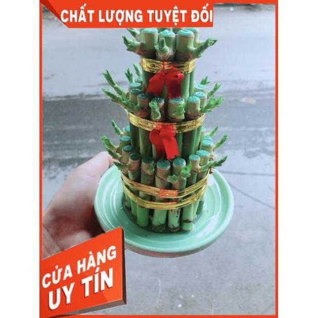 Trúc Phát Tài 3 Tầng