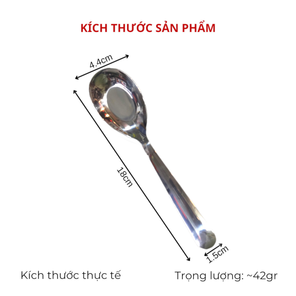 Set 5 thìa phở inox cao cấp Stainless Steel hàng xuất khẩu dài 18cm - Dùng ăn cơm ăn phở