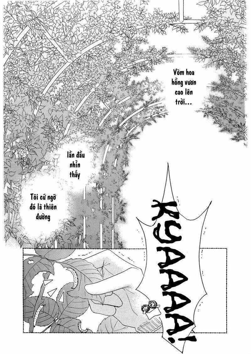 heaven company chapter 3 5