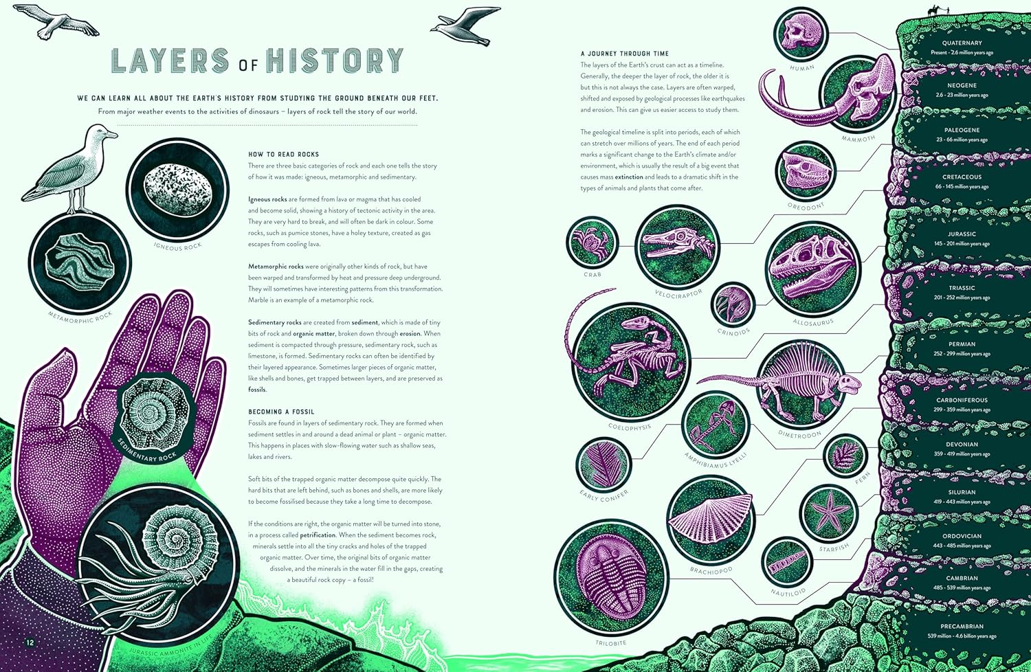 Bang The Wild Wonders Of Earth’S Phenomena