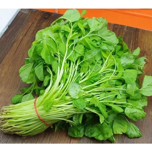 50Gr Hạt Giống Rau Dền Xanh Lá Tròn NGON NGỌT MỀM