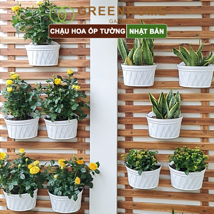 Chậu nhựa trồng cây Nhật Bản, Daiwa, ốp trường, treo hoa ban công, sân vườn, độ bền 5 năm, nhiều kích thước |Greenhome