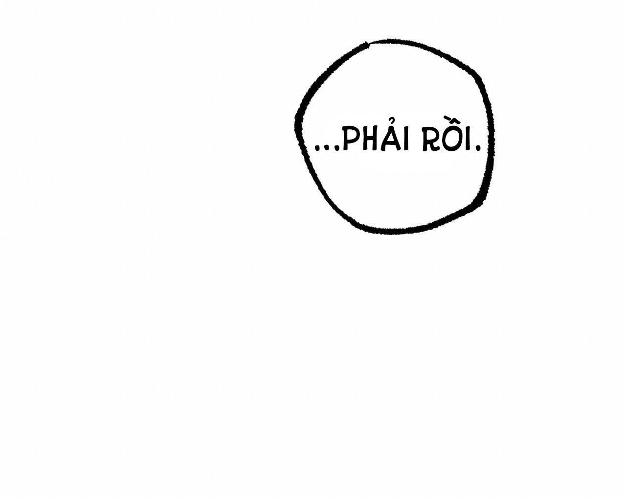 những chú thỏ của hapypy chapter 54.2 15