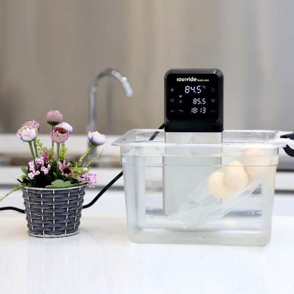 Máy Nấu Chậm The SousVideTools® iVide Plus Jnr Sous Vide Cooker - Hàng Nhập Khẩu