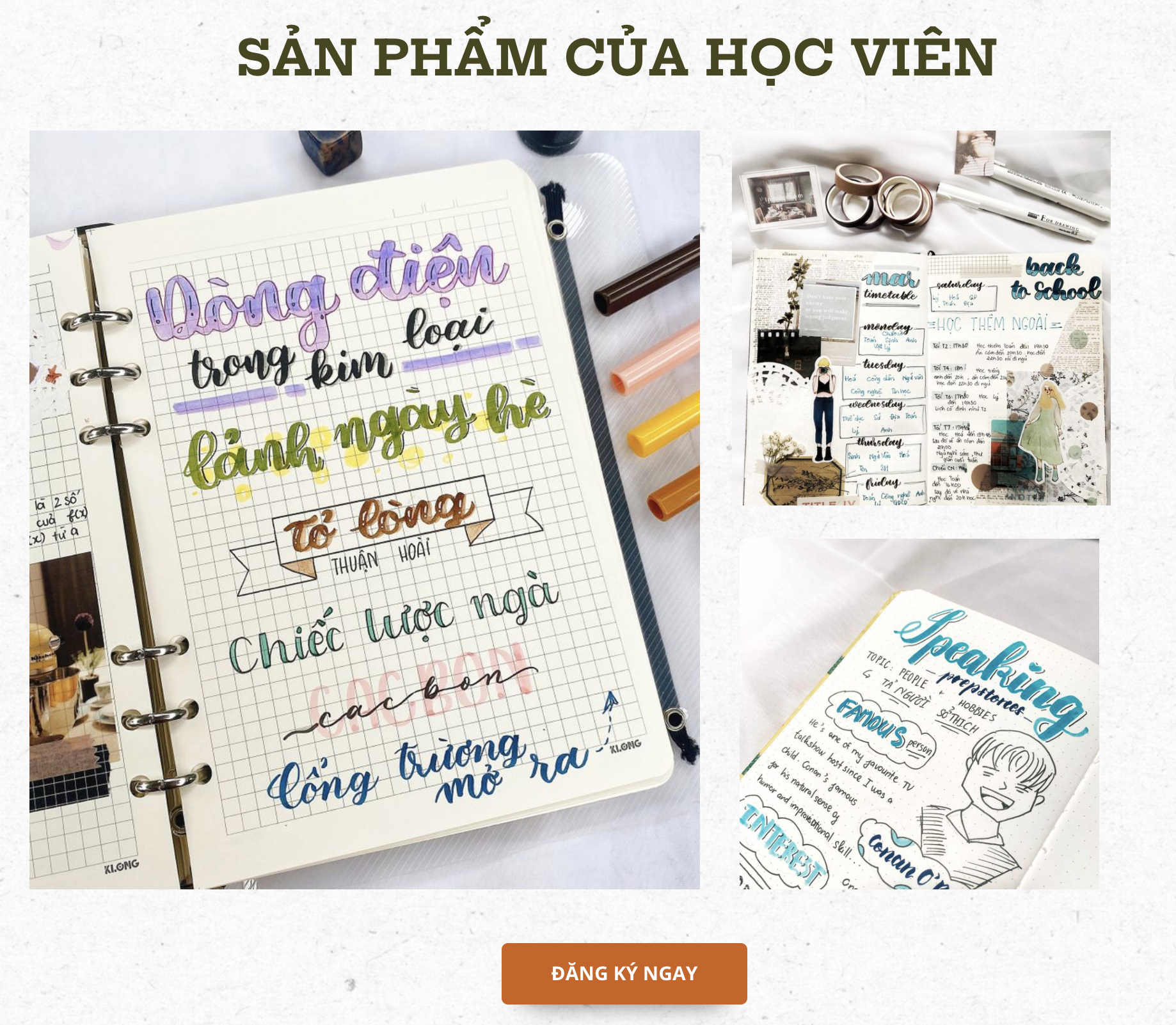 Hình ảnh WeStudy - Khóa học sáng tạo sổ tay bằng Bullet Journal