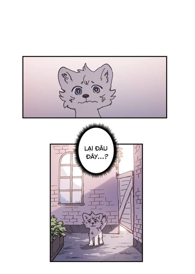 lumine - cội nguồn ánh sáng chapter 81 20