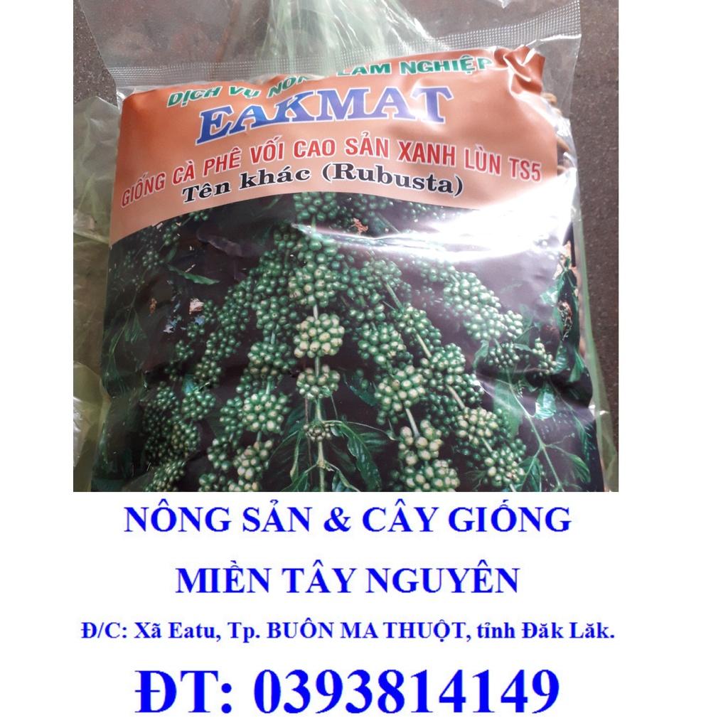500 GRAM HẠT GIỐNG CÀ PHÊ XANH LÙN TS5 CAO SẢN .