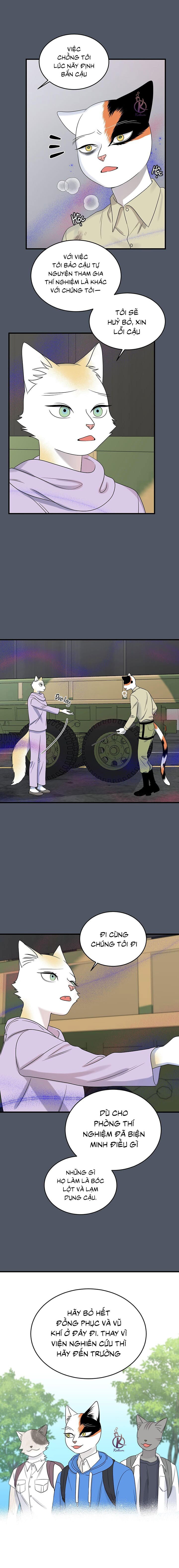 dự án xanh chapter 43 13