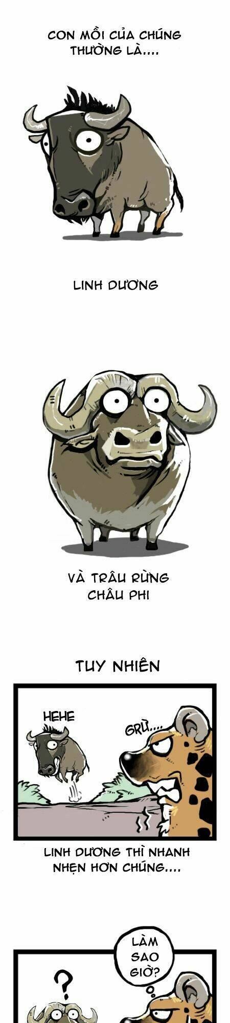 earth, human, and animal chapter 9 8