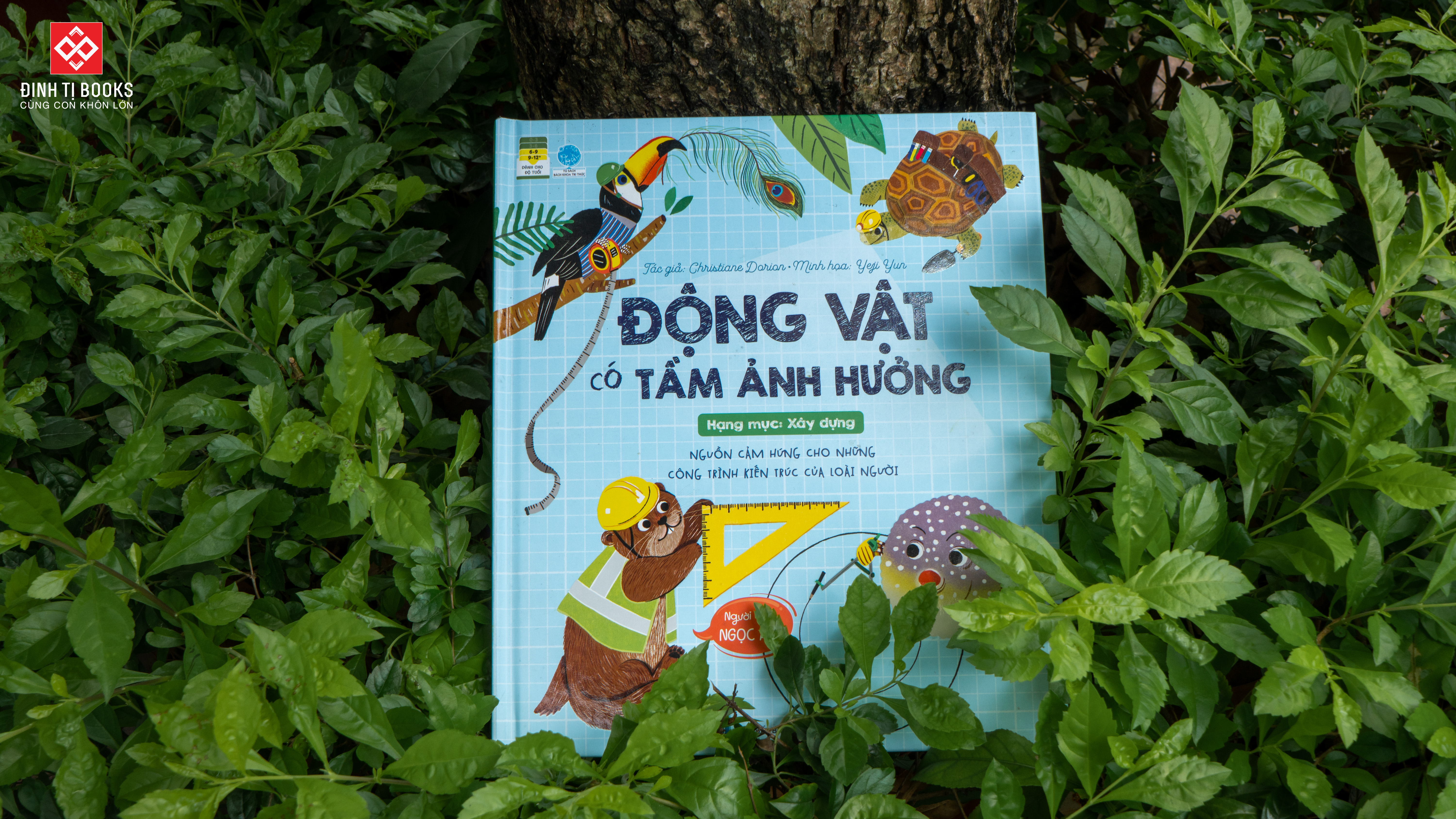 Sách - Động Vật Có Tầm Ảnh Hưởng... - Combo 3 Chủ Đề - Đinh Tị Books Phát Hành - Hạng Mục Xây Dựng