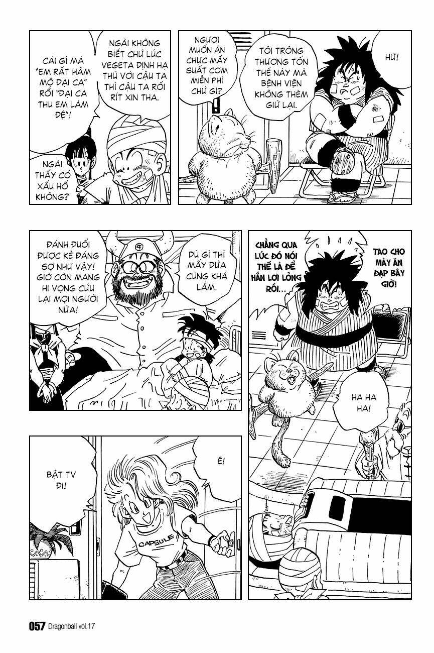 dragon ball - bảy viên ngọc rồng chapter 243 12