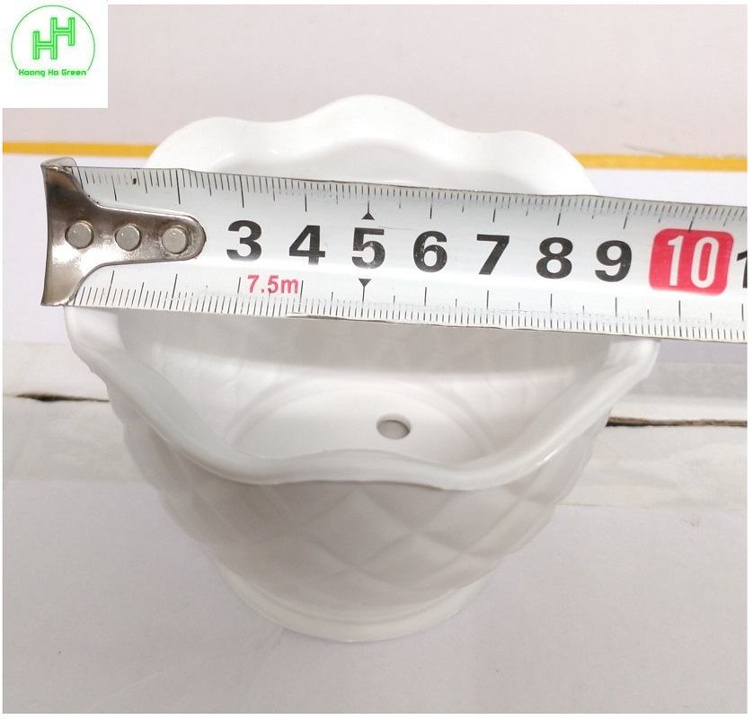2 Combo chậu nhựa quả Dứa 100x70x60 + đĩa lót chậu 85x10 , trồng cây mini, xương rồng, cây để bàn, sen đá