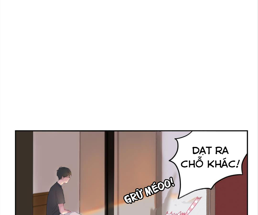 social cat chapter 1 81