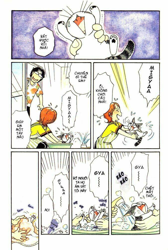 chi's sweet home chapter 3 5