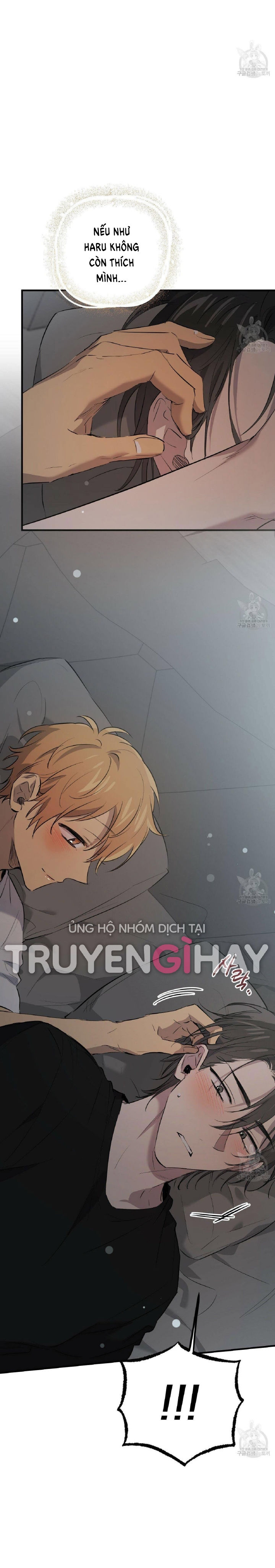 những chú thỏ của hapypy chapter 52.2 6