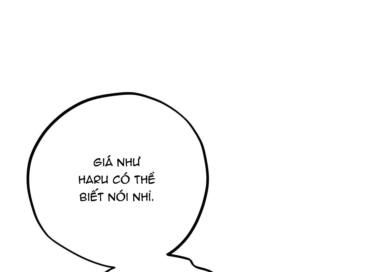 đàn thỏ của habibi chapter 20 238