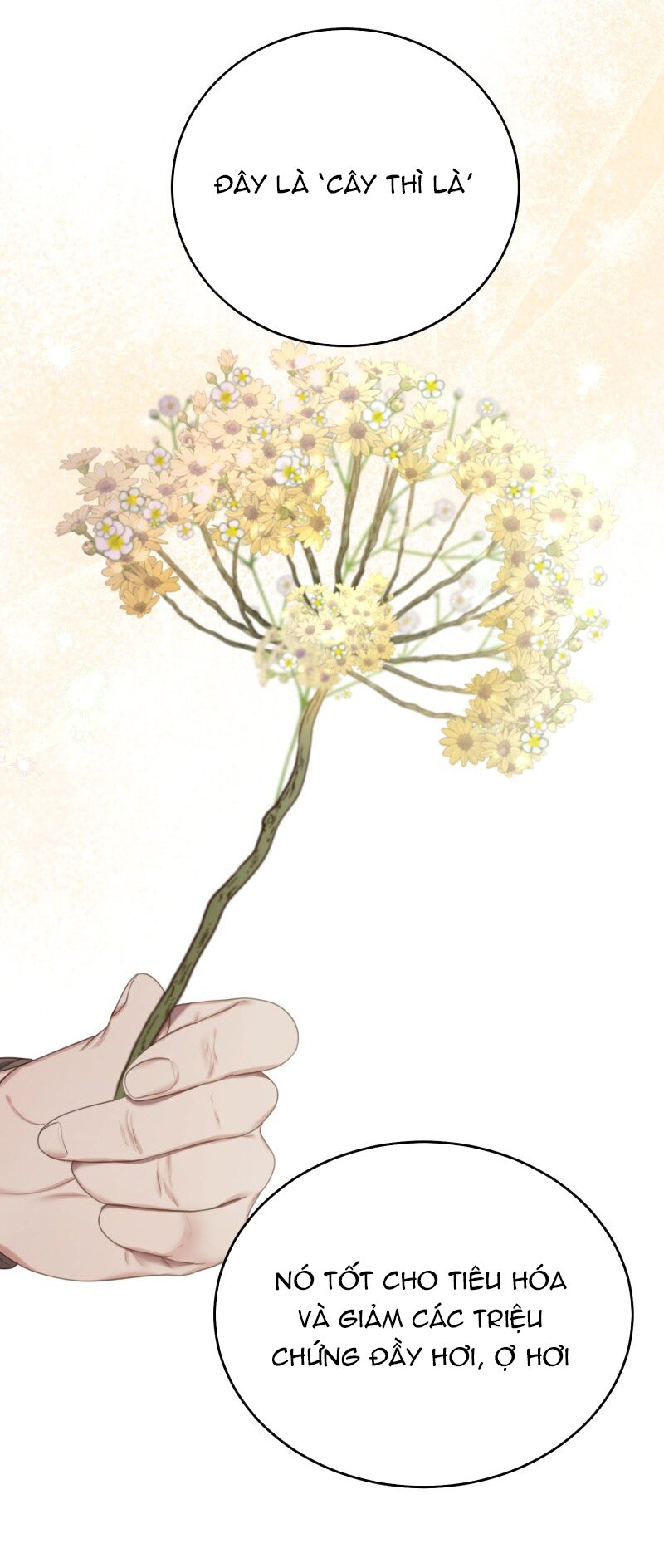 nữ hầu muốn đình công chapter 33 31