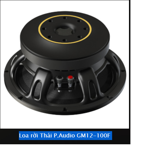 LOA RỜI PAUDIO 3 TẤC GM12-100F (12") (1 cặp) – Hàng Chính Hãng