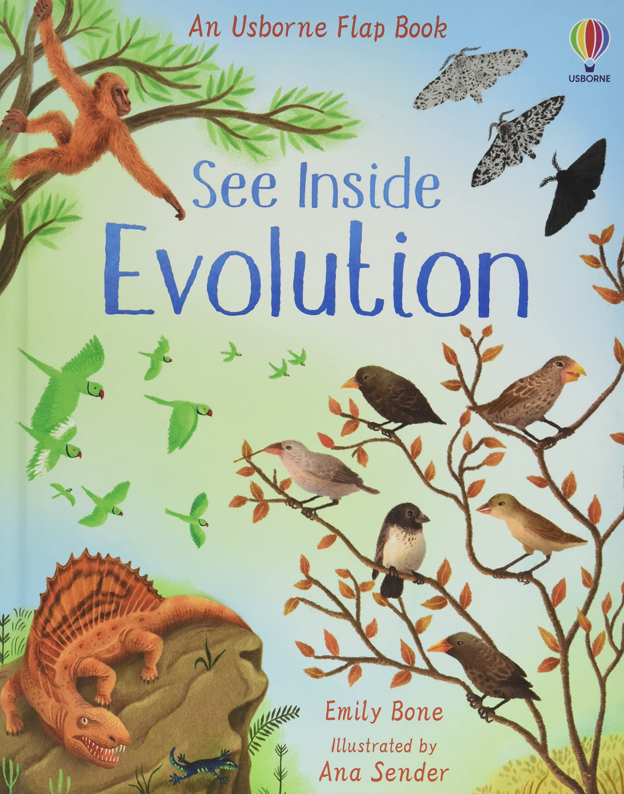 Sách - Anh: See Inside Evolution