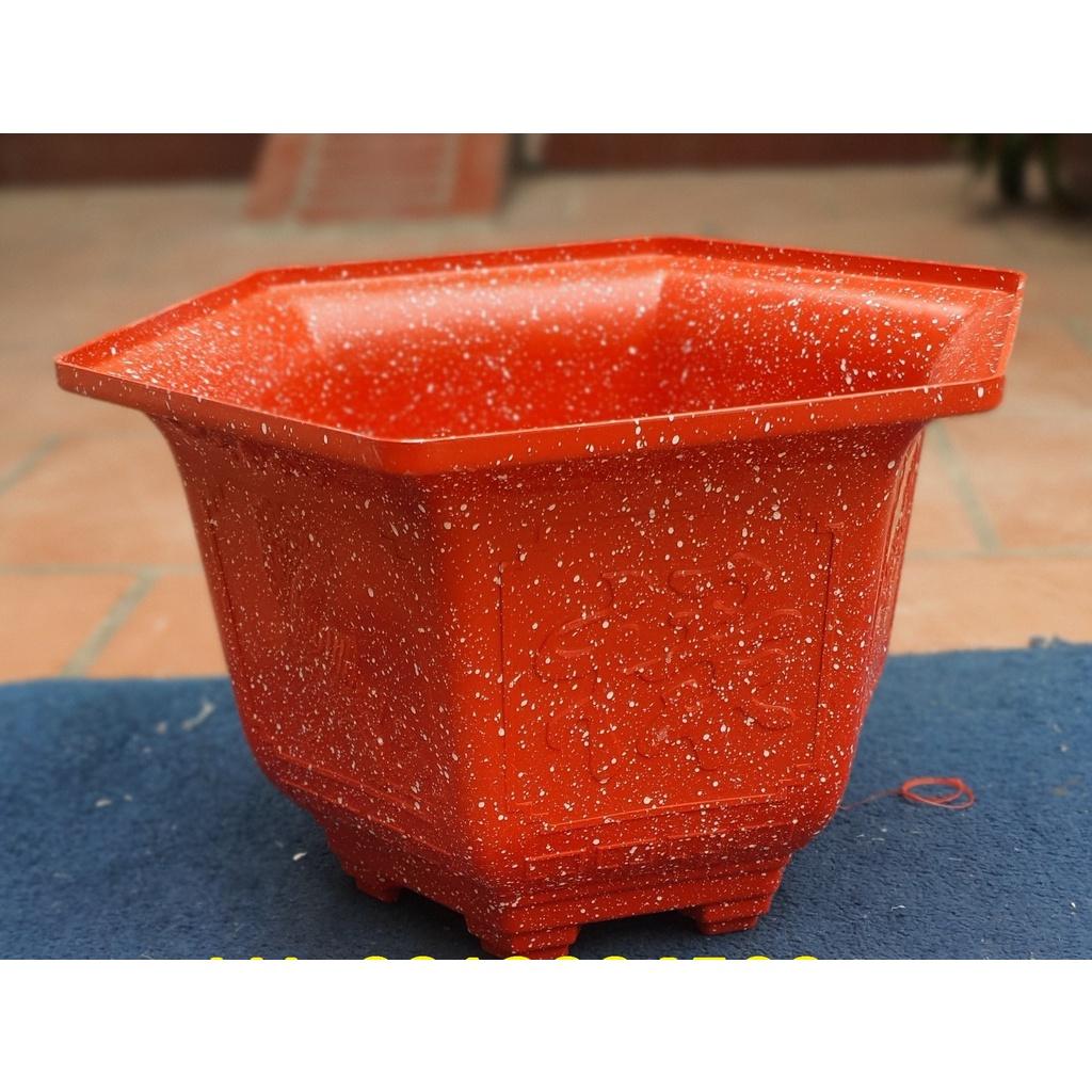 Chậu nhựa lục giác Phúc, Lộc, Thọ L19 đa sắc màu