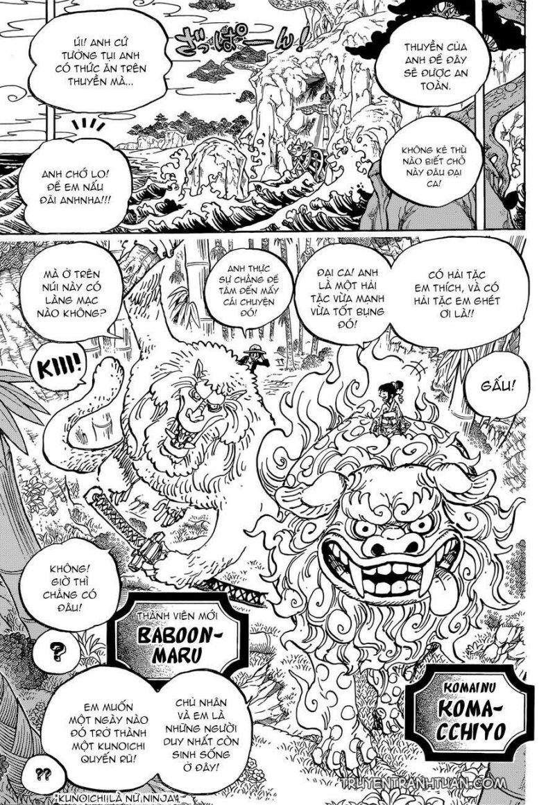 đảo hải tặc - one piece chapter 911 12