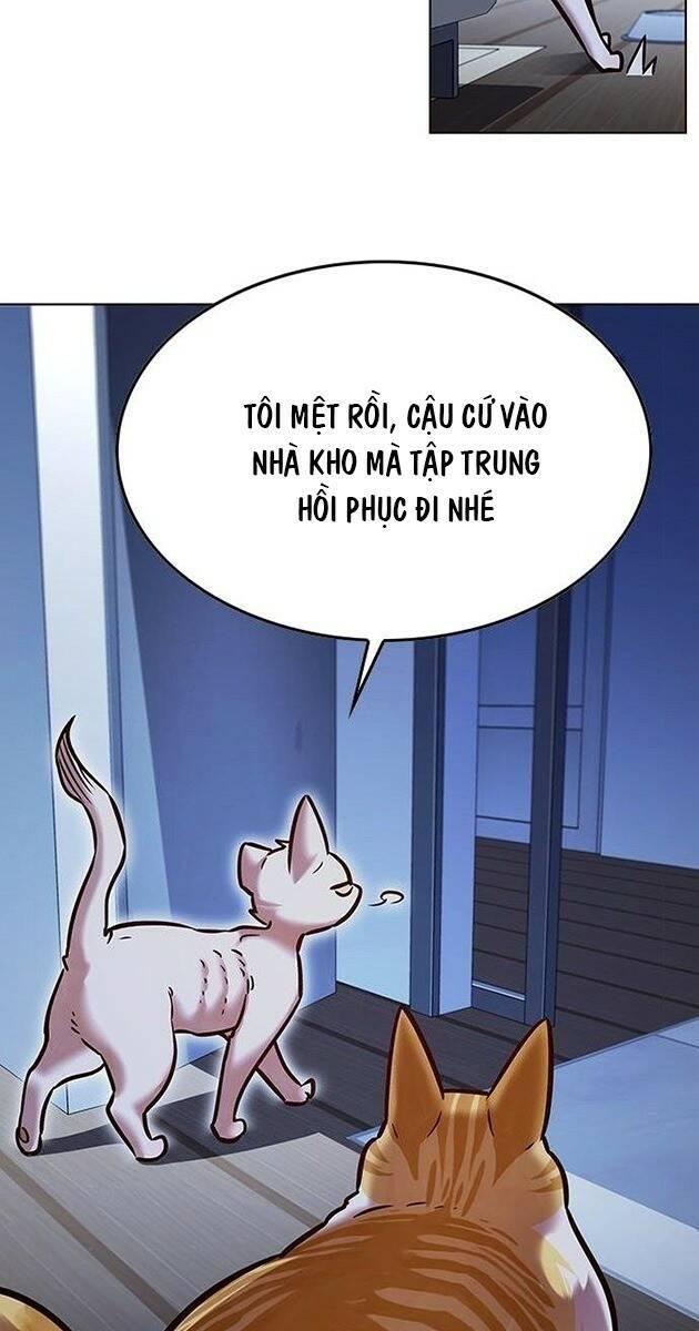 biến thân thành mèo chapter 229 47