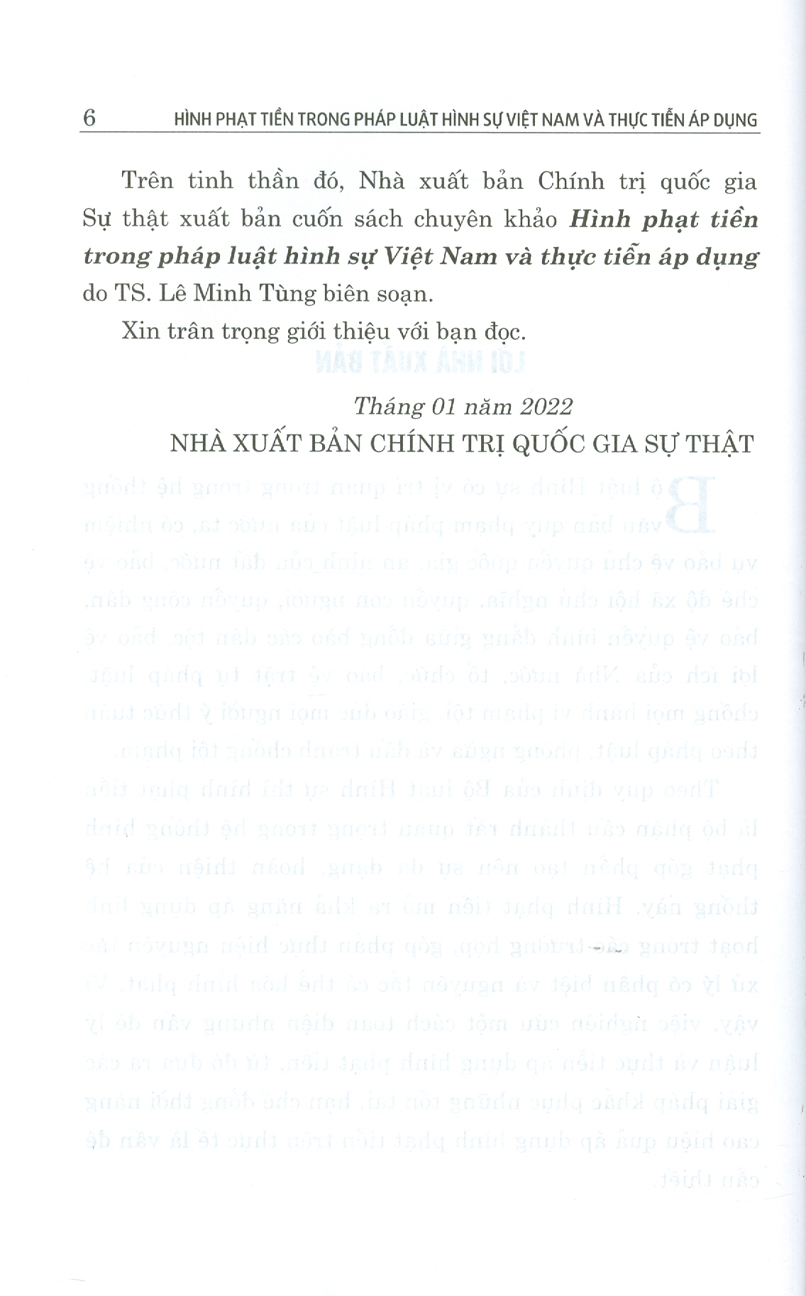 Hình Phạt Tiền Trong Pháp Luật Hình Sự Việt Nam Và Thực Tiễn Áp Dụng (Sách Chuyên Khảo)