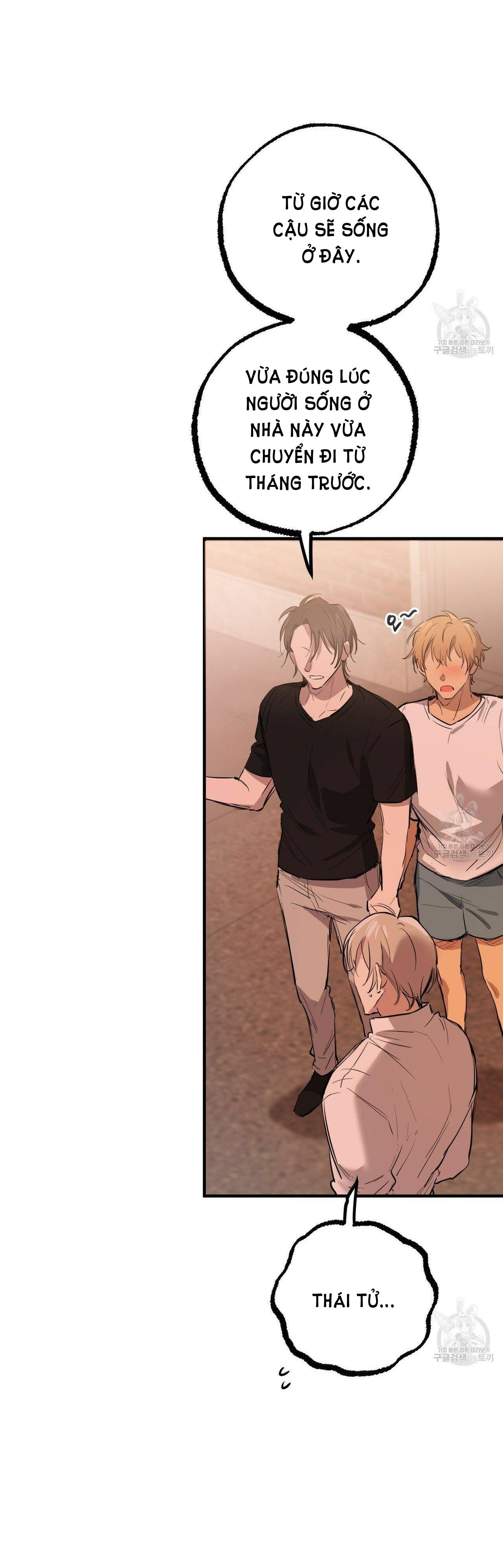 những chú thỏ của hapypy chapter 51.2 19