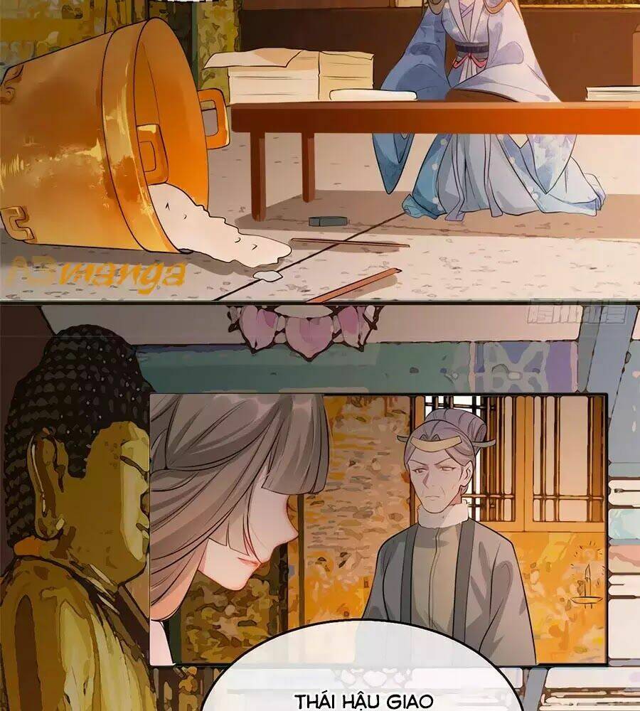 gian phi như thử đa kiều chapter 18 43