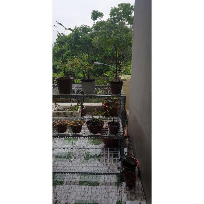 Kệ sắt v lỗ đa năng.kệ sắt lưới ô vuông.kệ để cây bonsai,sen đá,xương rồng.
