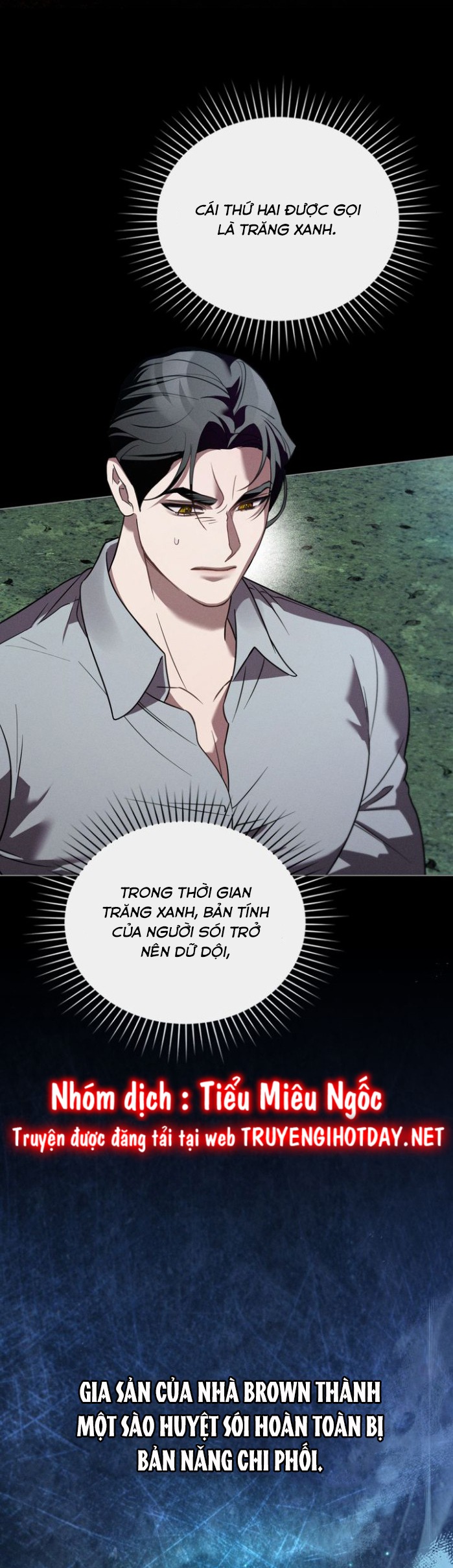 chàng người sói phát điên vì tôi chapter 46 21