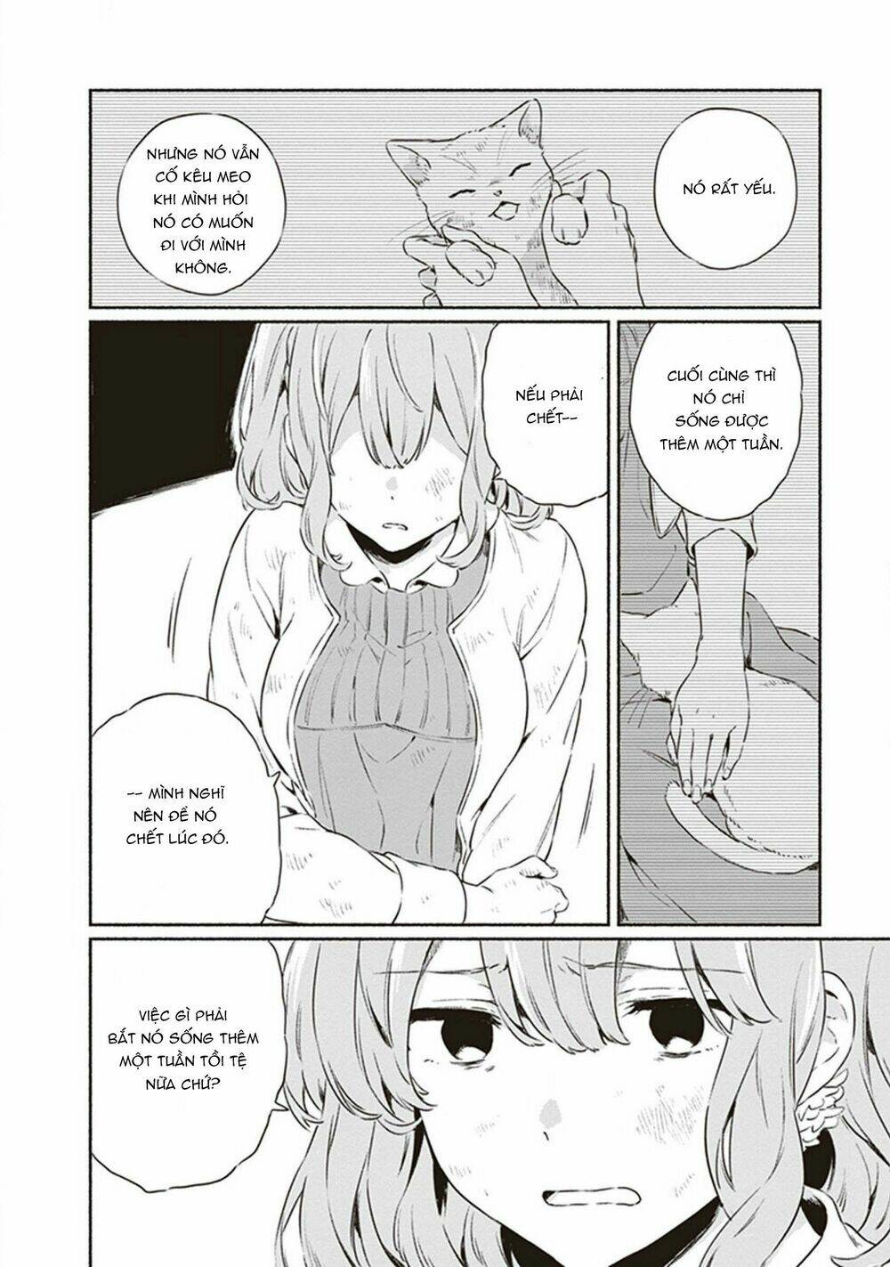 hello, hello and hello chapter 5 22