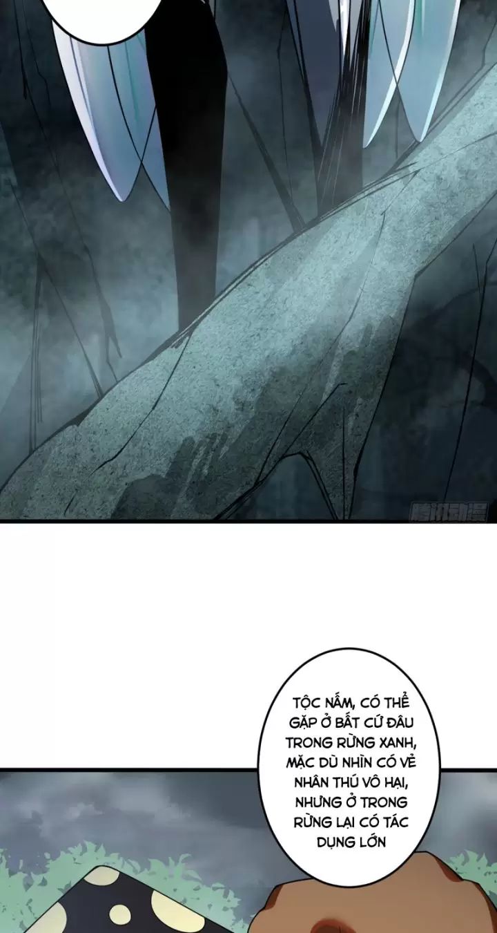 ta, chúa tể rừng xanh chapter 6 10