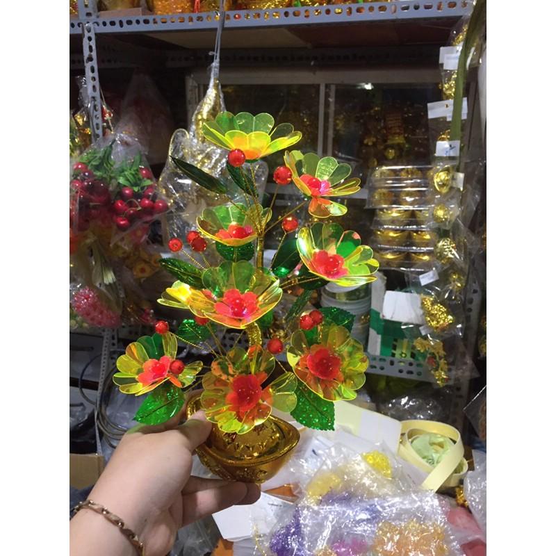 Cây kim tiền trang trí hoa lưu ly 30cm phk shop