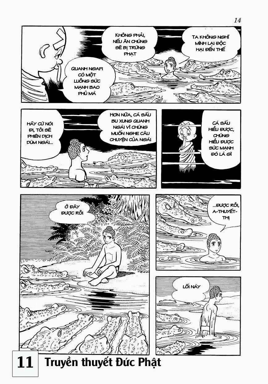 buddha - truyền thuyết đức phật chapter 50 14