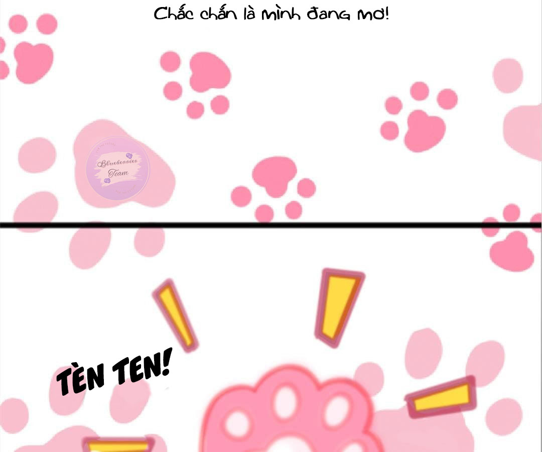 social cat chapter 1 30