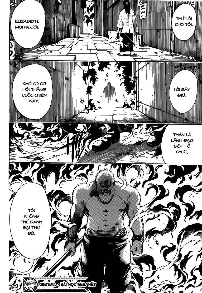 gintama - linh hồn bạc chapter 562 16