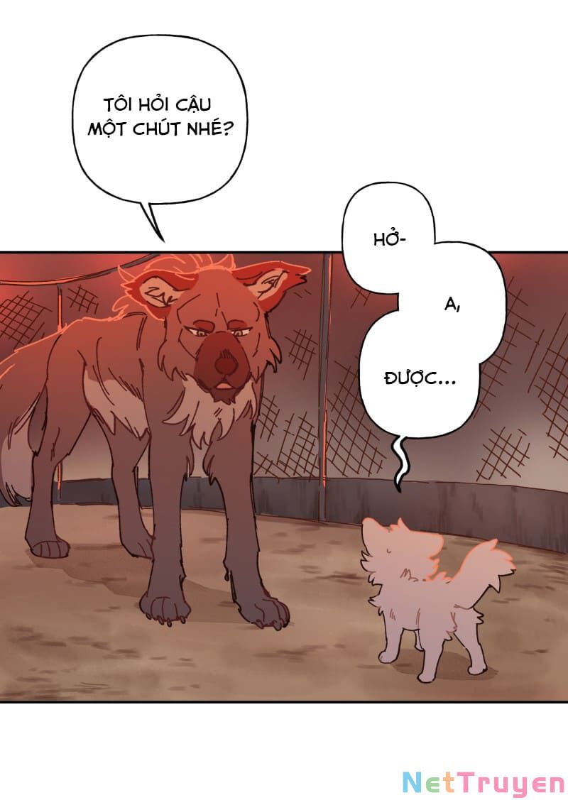 lumine - cội nguồn ánh sáng chapter 107 3