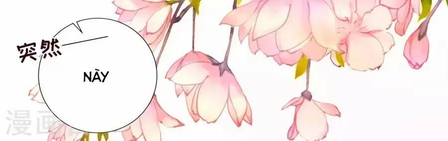 báo hệ nam hữu đích thiên tầng thao lộ chapter 37 30