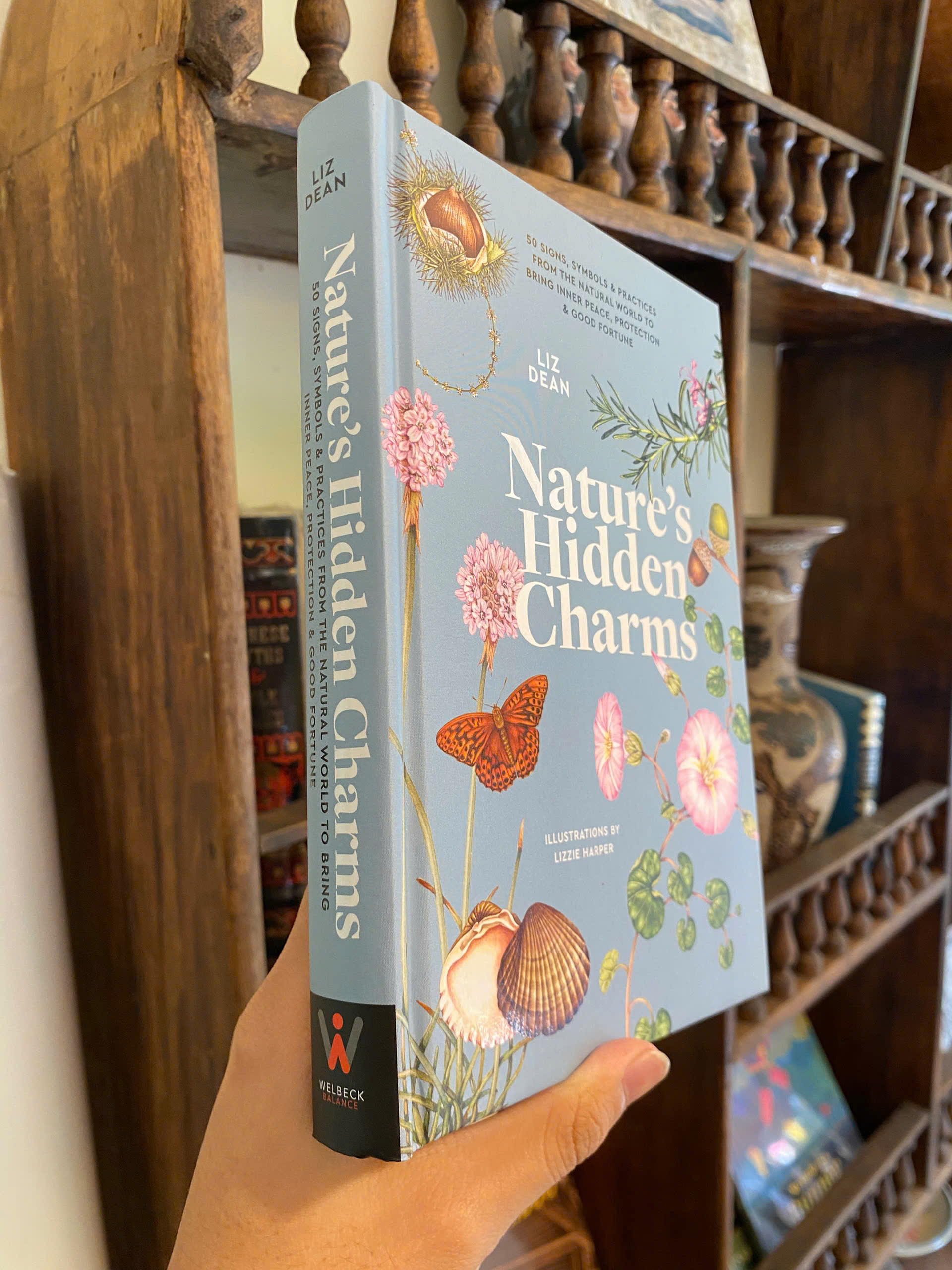 Sách - Nature's Hidden Charms by Liz Dean | Practices from Natural World for Healing Inner Peace