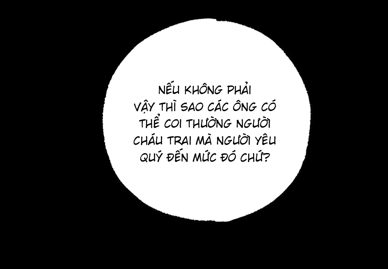 những chú thỏ của hapypy chapter 62 288