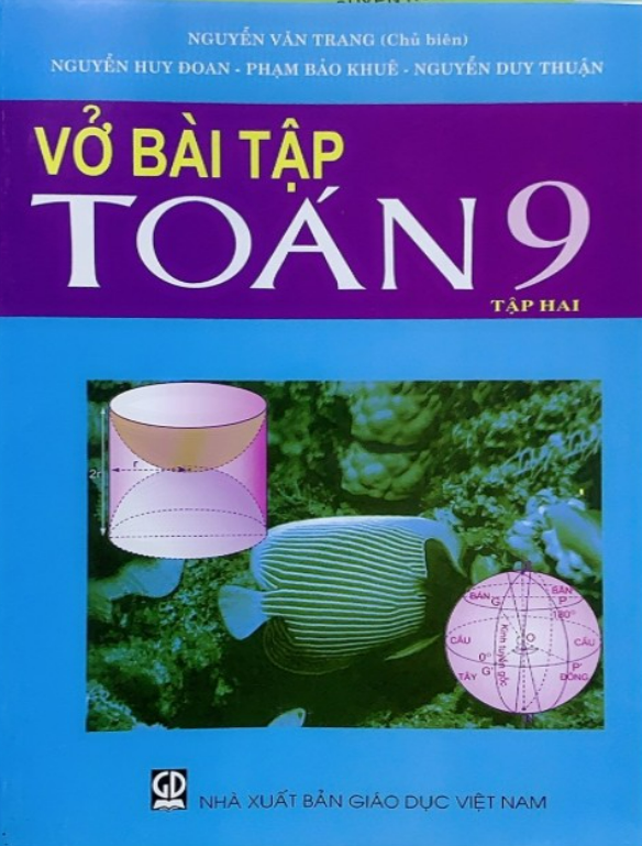 Sách - Vở bài tập Toán 9