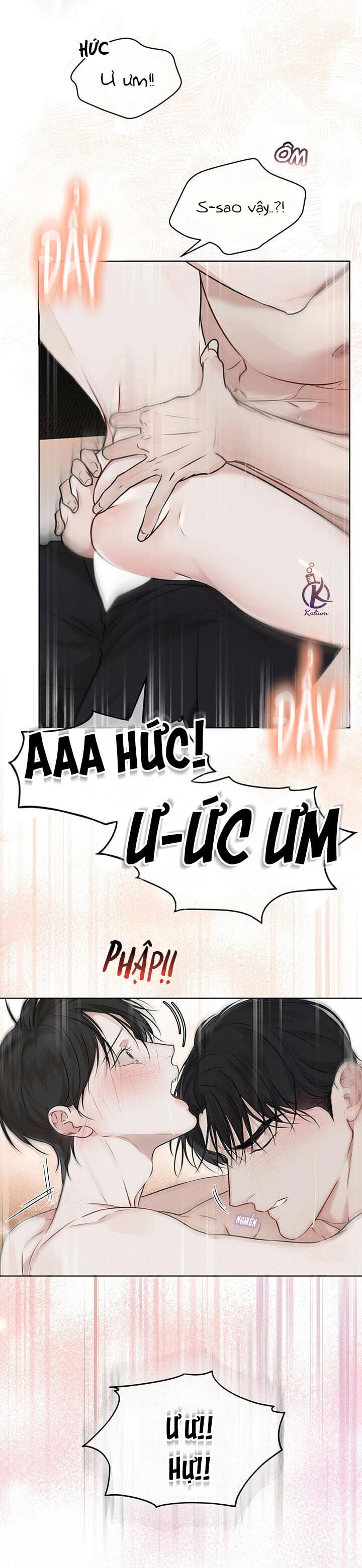 hình thái khởi sinh chapter 28 10