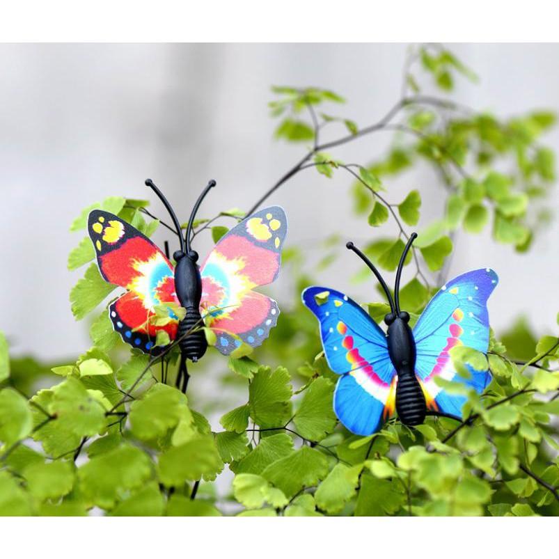Mô Hình Con Bướm Làm Tiểu Cảnh - trang trí terrarium / decord mô hình quà tặng trang trí