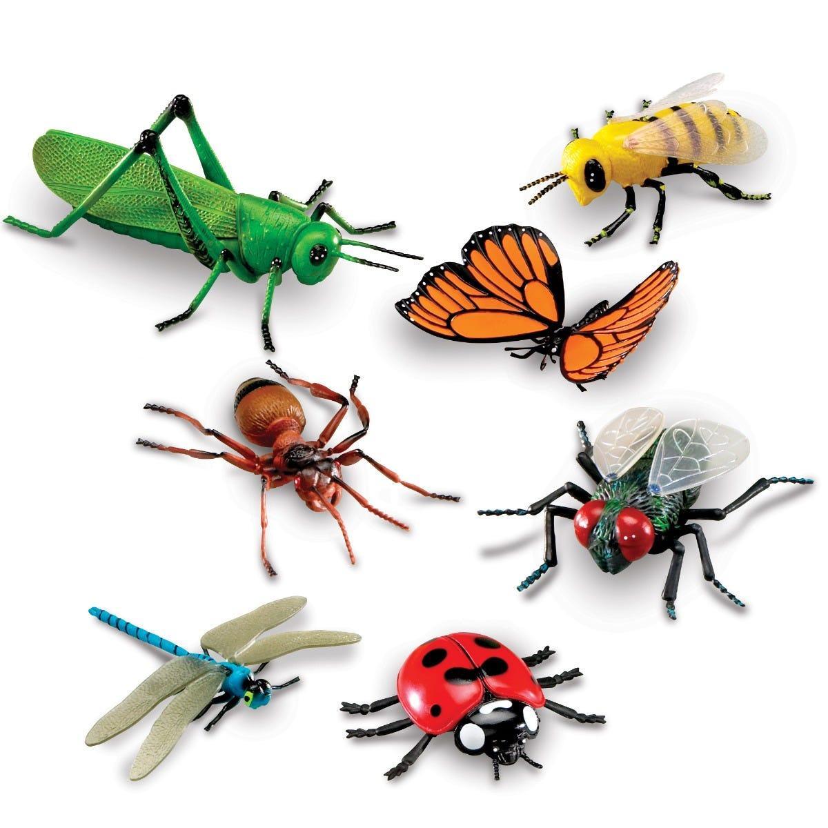 Bộ loài côn trùng - Jumbo Insects
